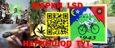 сатива Бузулук